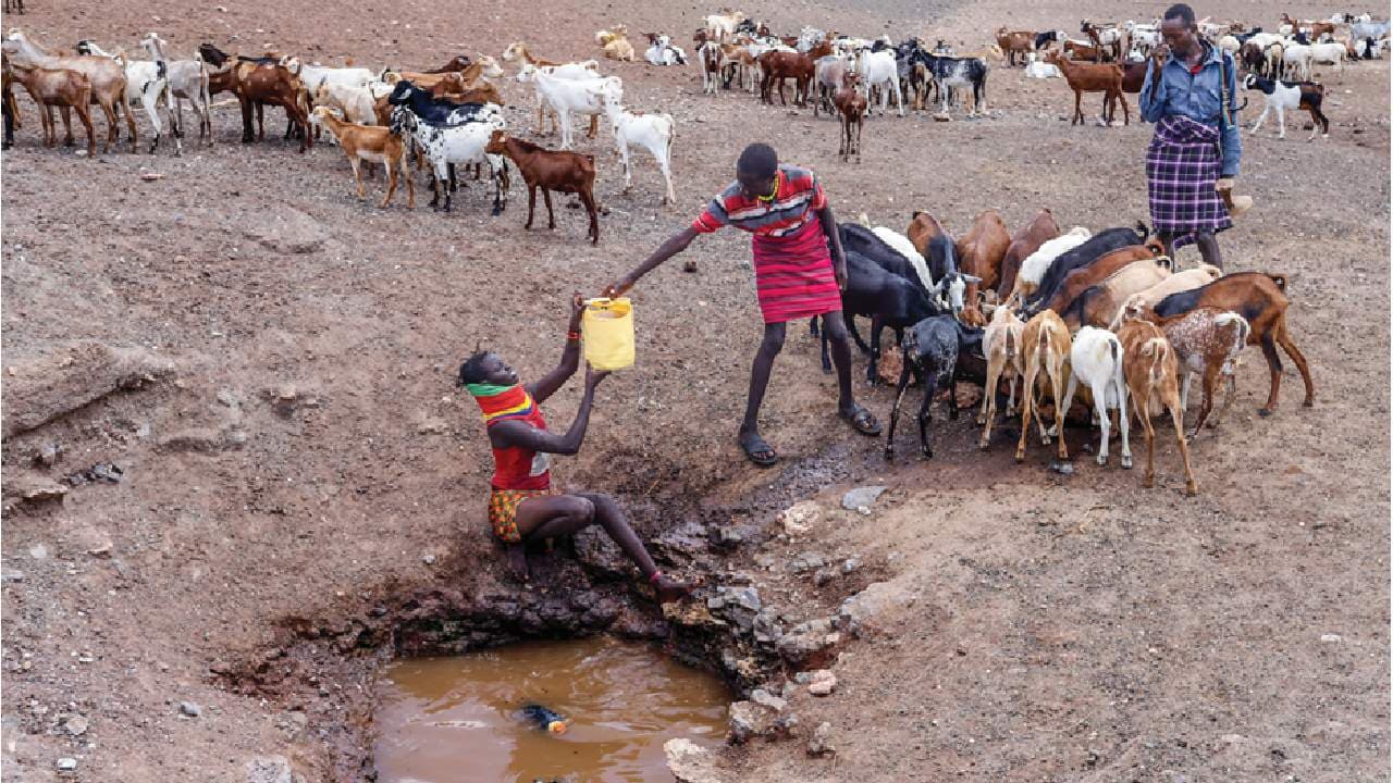 Climate Emergency: Over Two Million Kenyans Face Hunger as Devastating Drought Grips East Africa